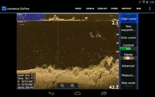 Lowrance GoFree Controller