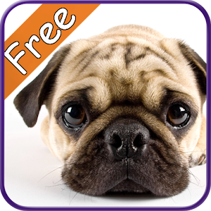 Pug+ Free.apk 1.0