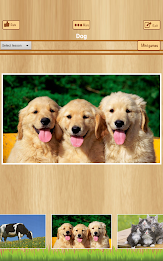 Learn English - Kids Apps poster 18