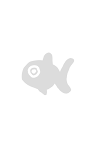 Fisch 
