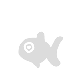 Fisch 
