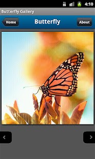 How to mod Butterfly Photo Gallery 1.0 unlimited apk for laptop