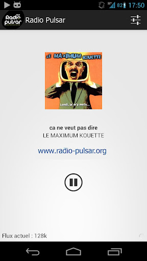 Radio Pulsar