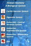 Human Anatomy Pro