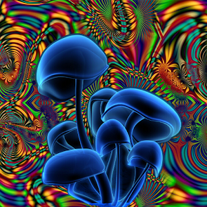 Shrooms Live Wallpaper HD logo