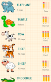 How to Draw Animals