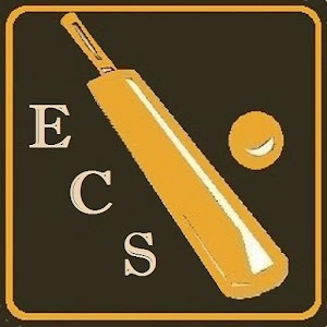 Easy Cricket Scorer.apk 1.2