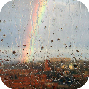 Rain On Window Live Wallpaper.apk 1.1.1