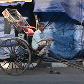 Leisure Morning Mists by Dipa Chatterjee - City,  Street & Park Street Scenes