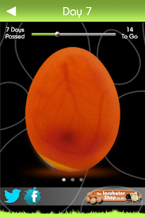 iHatch-Chickens(圖2)-速報App