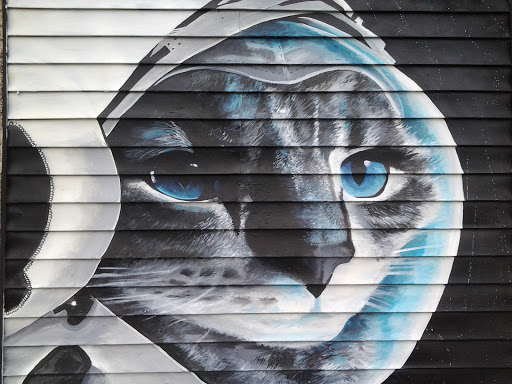 Space Cat Mural