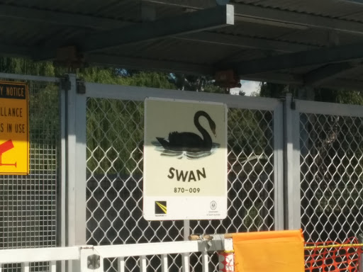 Swan Sign