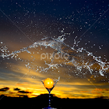 by Craig Luchin -  
