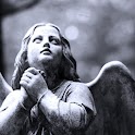 Statues logo