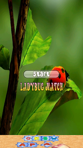 Ladybug Game for Children FREE