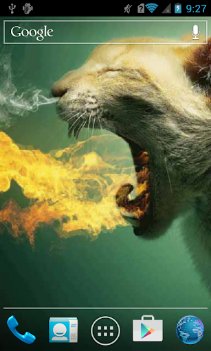 Fire Breathing Cat Live