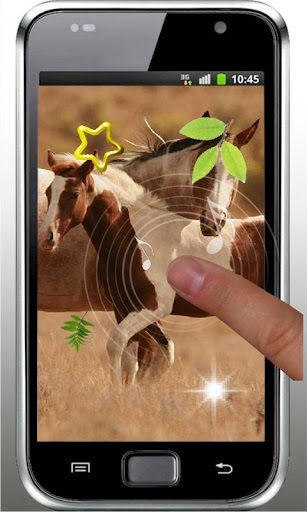 【免費個人化App】Horses Dances live wallpaper-APP點子