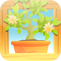 A Plant's Life