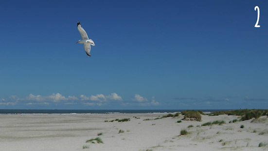 Free Download Percept - Visual Memory APK