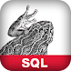 Learning SQL