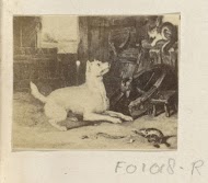 Fotoreproductie van (vermoedelijk) een schilderij met een kat en een hond