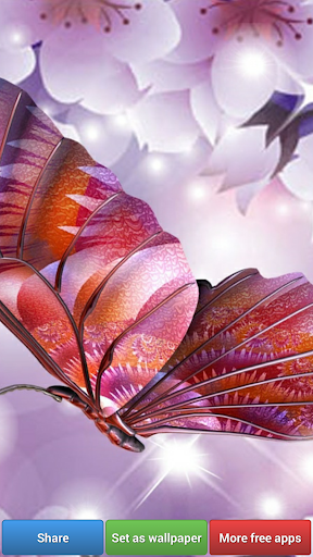 【免費生活App】Butterflies HD Wallpapers-APP點子