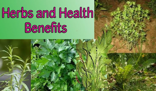 Herbs and Health Benefits Screenshots 0