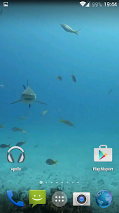Sharks. Video Wallpaper(圖2)-速報App