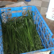 茉莉花壇夢想館