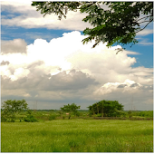 Pasumai Tamizhagam