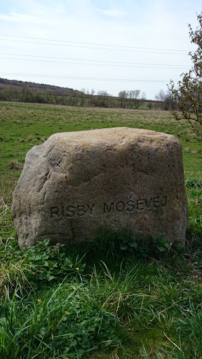 Risby Mosevej