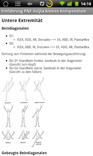 Physiok.Einführung PNF Vojta