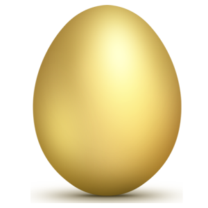 Forex Manager US logo
