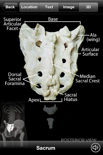 【免費醫療App】Skeletal Anatomy 3D-APP點子