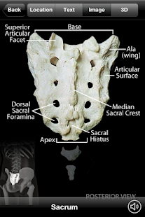 Skeletal Anatomy 3D(圖4)-速報App