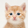 Cat Puzzle Download on Windows