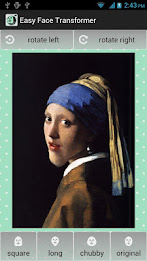 Easy Face Transformer poster 3