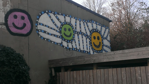 OZ Graffiti