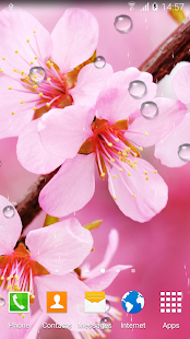 Cherry Blossom Live Wallpaper(圖3)-速報App