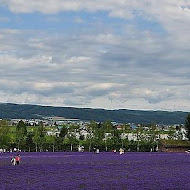 富田花園農場