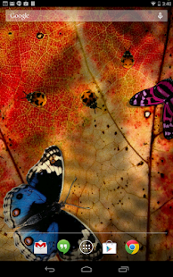 Friendly Bugs Live Wallpaper(圖2)-速報App