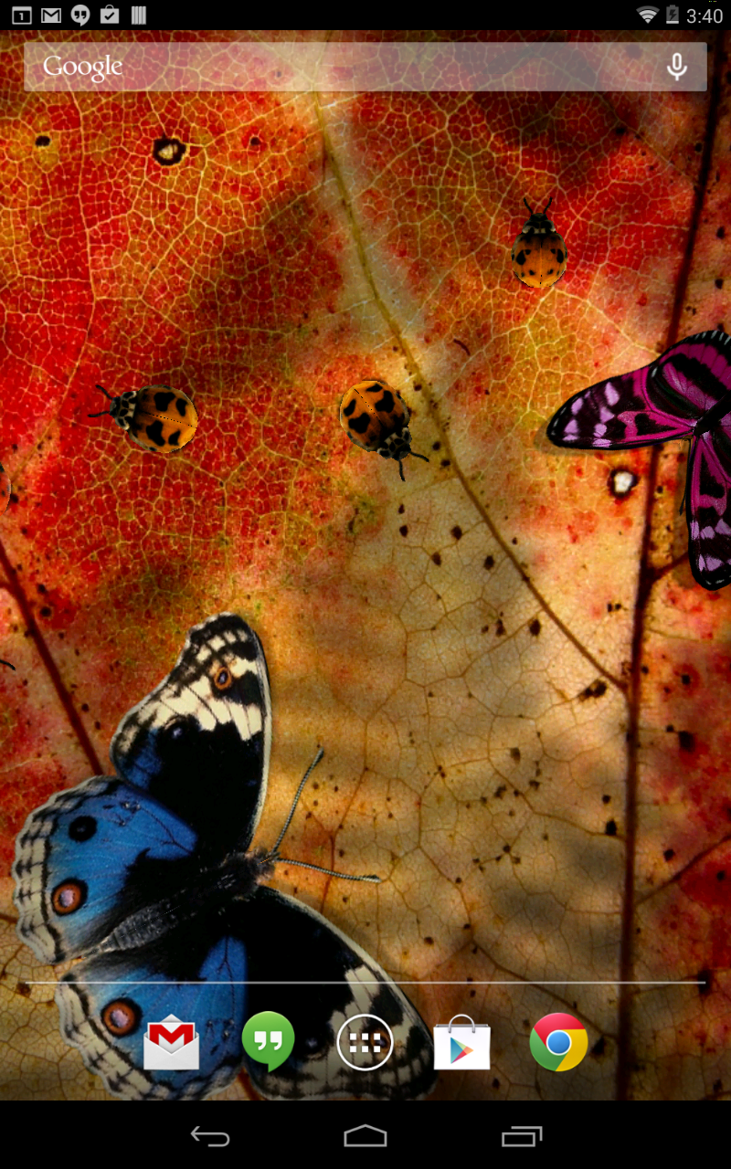 Friendly Bugs Live Wallpaper Screen 2