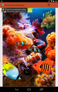 Natures Gallery Wallpaper Screenshots 6