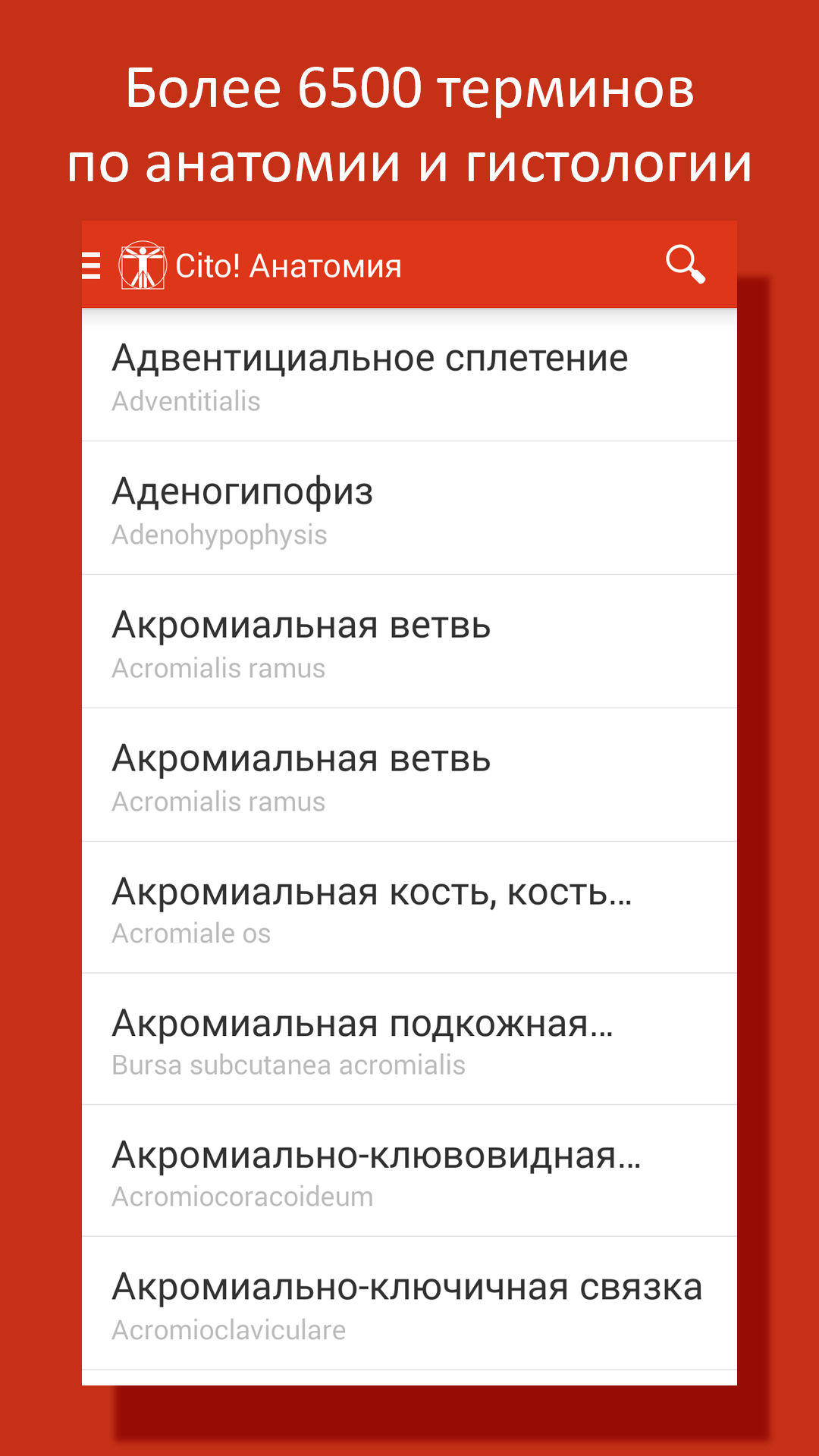 Android application Cito! Анатомия человека screenshort