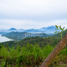 shoot by Shihab Qurtuby - Landscapes Mountains & Hills