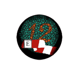 Pocket Eye Exam logo