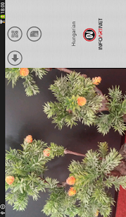 Lastest Multimedia Guide APK