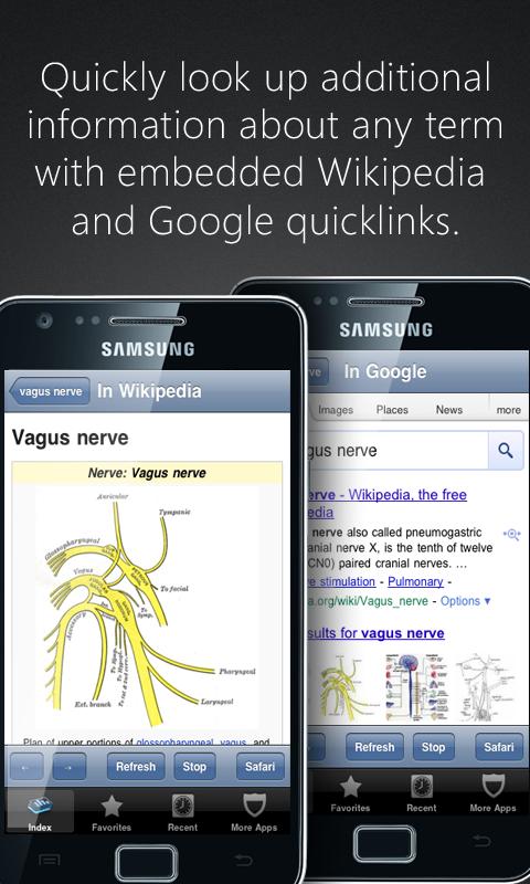 Anatomy Pronunciations Screen 3