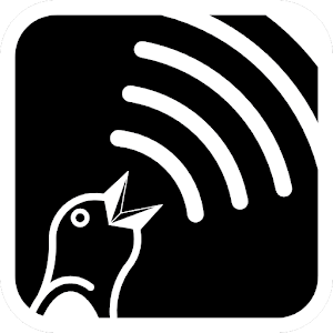 Sound of Bird logo