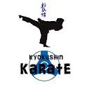 극진가라데 입문 logo